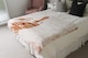image 3 of Puffin Blanket | Multi