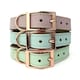 image 7 of Skye & Murphy Luxury Padded Leather Dog Collar Pink | S