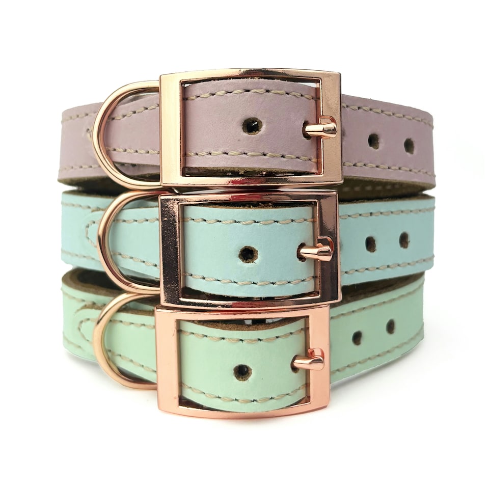 image 1 of Skye & Murphy Luxury Padded Leather Dog Collar Pink | S