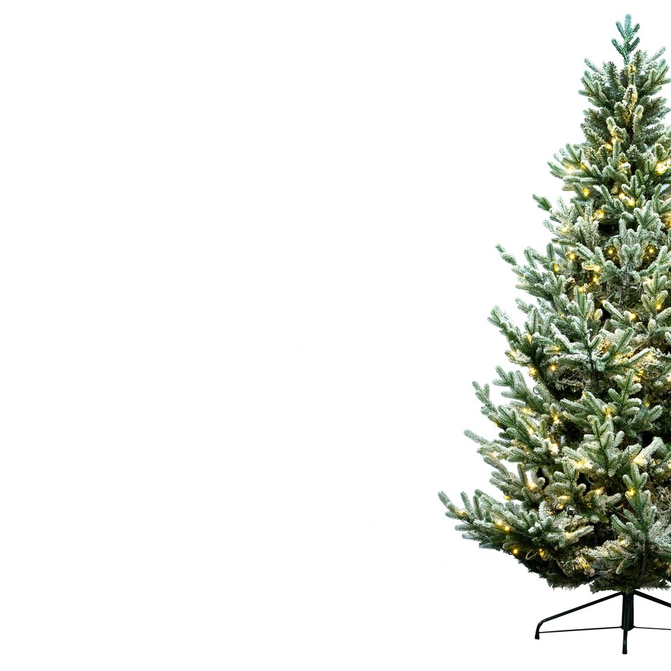 image 1 of Christmas Tree World  10ft/300cm Pre-lit Frosted Ultra Mountain Pine