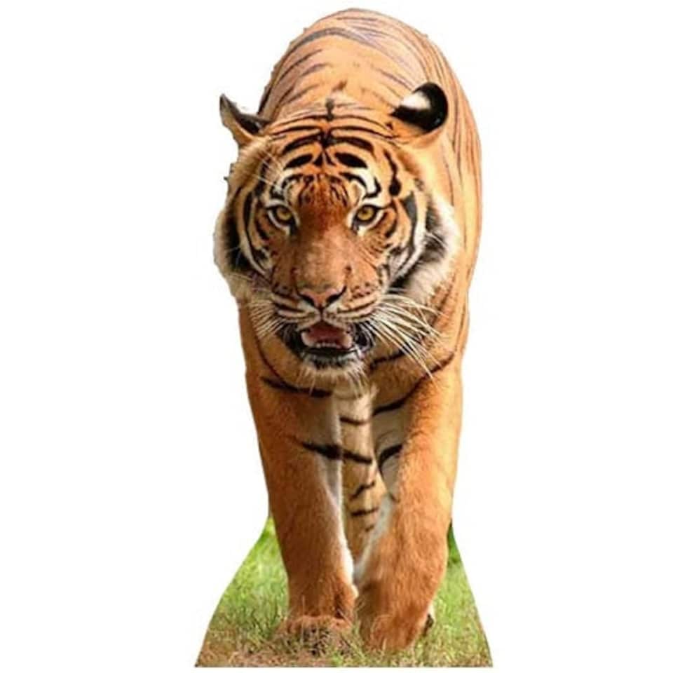 Tiger Lifesize Cardboard Cutout - 130cm