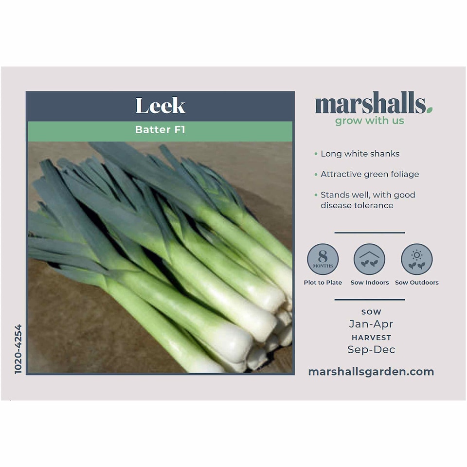 image 1 of Marshalls Garden Leek Seeds 'Batter' F1 40 seeds