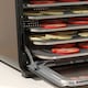 image 9 of HOMCOM Digital Food Dehydrator with 6 Stainless Steel Tray, 350W Food Dryer Machine with LED Touch Panel, Adjustable Temperature, 48H Timer for Drying Fruit, Meat, Vegetable, Jerky, Pet Treat, Black