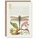 image 1 of Model Book of Calligraphy Art Card Dragonfly Pear and Carnation