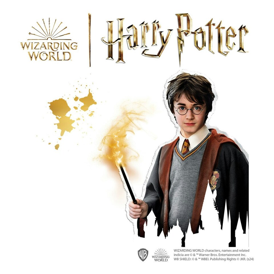 image 1 of SES CREATIVE Harry Potter Characters Iron-on Beads Kit (09345)