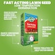 image 7 of Gro-Sure Fast Acting Lawn Seed 50 Square Meter 1.5kg Box Quick Germination Cold Tolerant Bird Deterrent Grass Seed