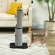 image 2 of PawHut Cat Scratch Post 2-in-1 with 3 Toy Feathers, 78cm Tall, Black