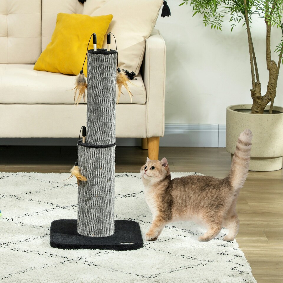 image 1 of PawHut Cat Scratch Post 2-in-1 with 3 Toy Feathers, 78cm Tall, Black