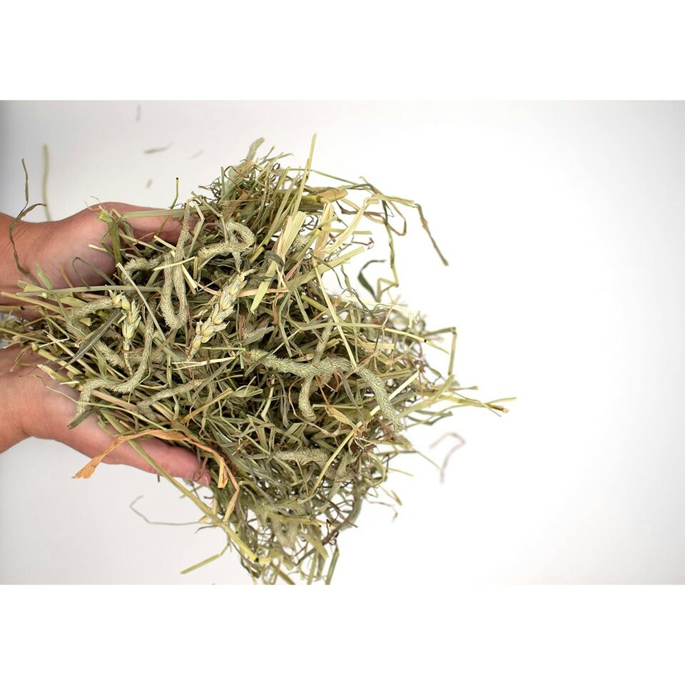 image 1 of Burgess Excel Timothy Feeding Hay Box - 4.5KG