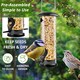 image 4 of Medium Outdoor Garden Hanging Metal Wild Bird Seed Feeder