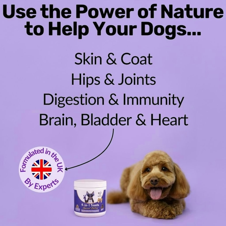 image 1 of Special Edition 9-in-1 Treats