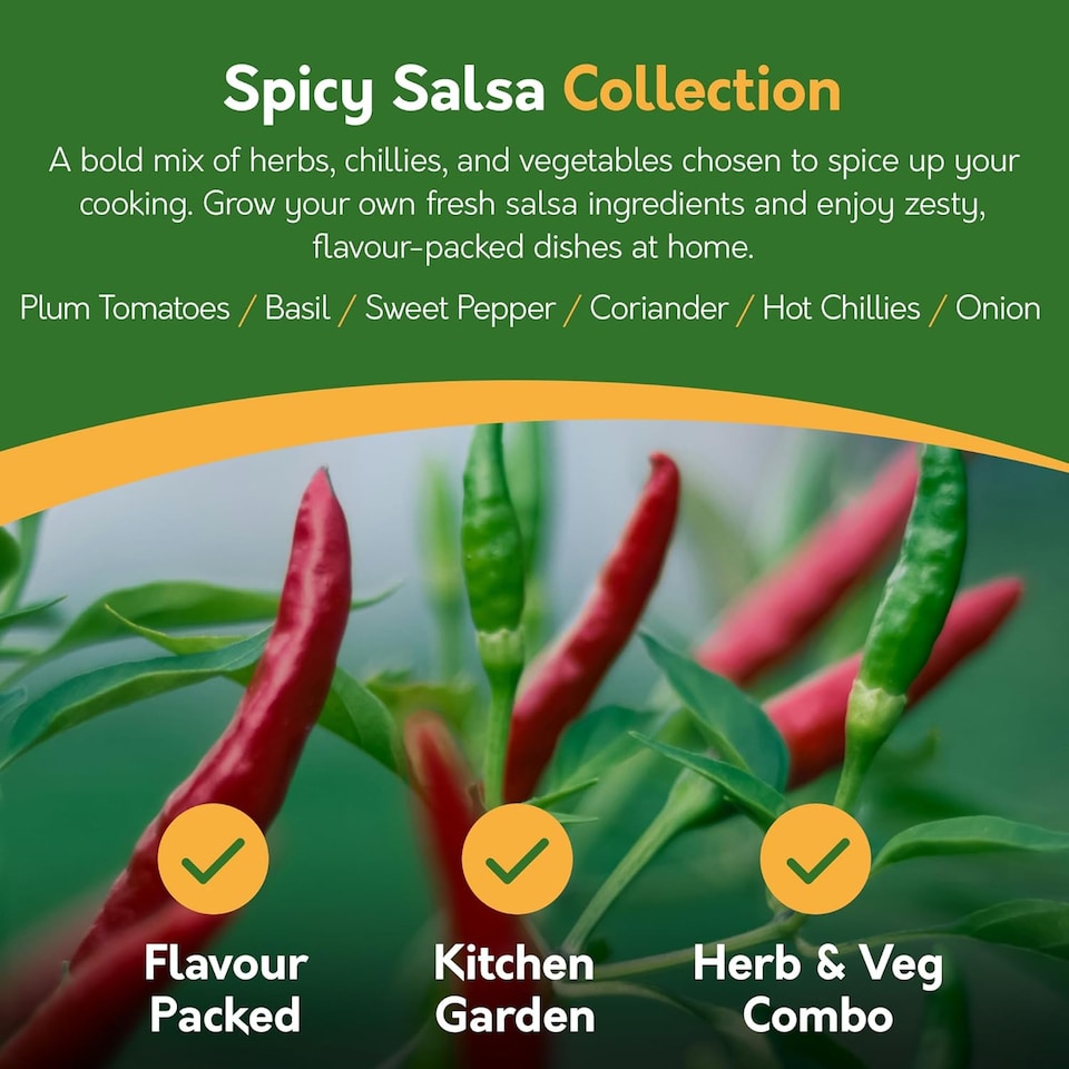 image 1 of Pronto Seed Vegetable Seeds Bumper Pack - 21 Popular Varieties, Over 1,700 Seeds for Growing Your Own Veg