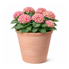 JSH Rustic Terracotta Effect 41L Planter in Recycled Plastic 47cm Classic Round Garden Flower Pot Strong and Lightweight | Brown | 1