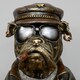 image 3 of Gifts Direct 2 U Smoking Bulldog Bust Ornament