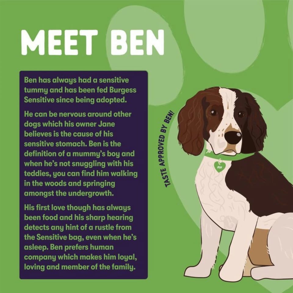 image 1 of Burgess Sensitive Adult Dog Lamb - 12.5KG