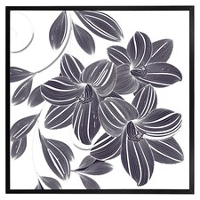 Orchids (Picture Frame) Black | XS
