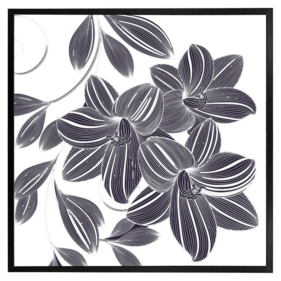 image 1 of Orchids (Picture Frame) Black | XS