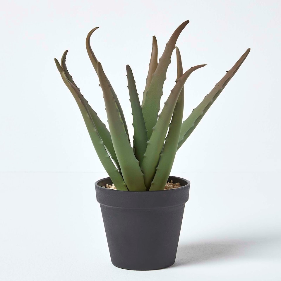 image 1 of Homescapes Aloe Vera Artificial Succulent in Black Pot, 30 cm Tall