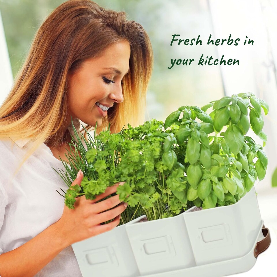 image 1 of Set of 6 White Indoor Herb Pots with Tray