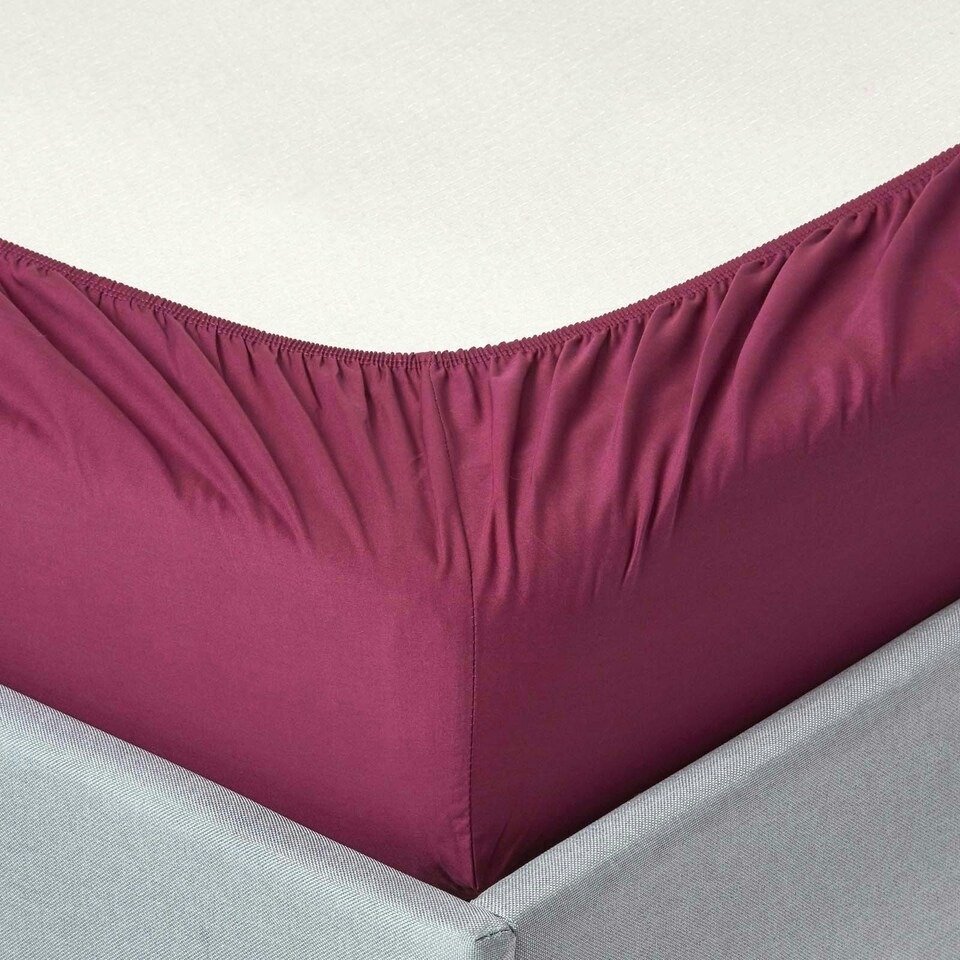 image 1 of Homescapes Plum Egyptian Cotton Deep Fitted Sheet 200 TC, Super King Purple | Super King