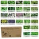image 2 of Pronto Seed Herb Seeds Bumper Pack – 24 Culinary Herb Varieties, Over 2,600 Seeds for Kitchen & Garden Growing