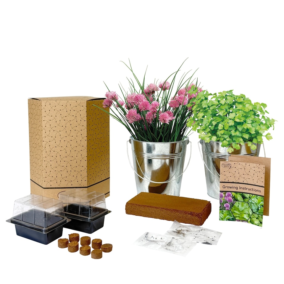 image 1 of Pronto Seed Grow Your Own Herb Kit with Galvanised Buckets - Herb Bucket Duo | Multi
