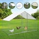 image 5 of Chicken Run 3m x 2m x 2m
