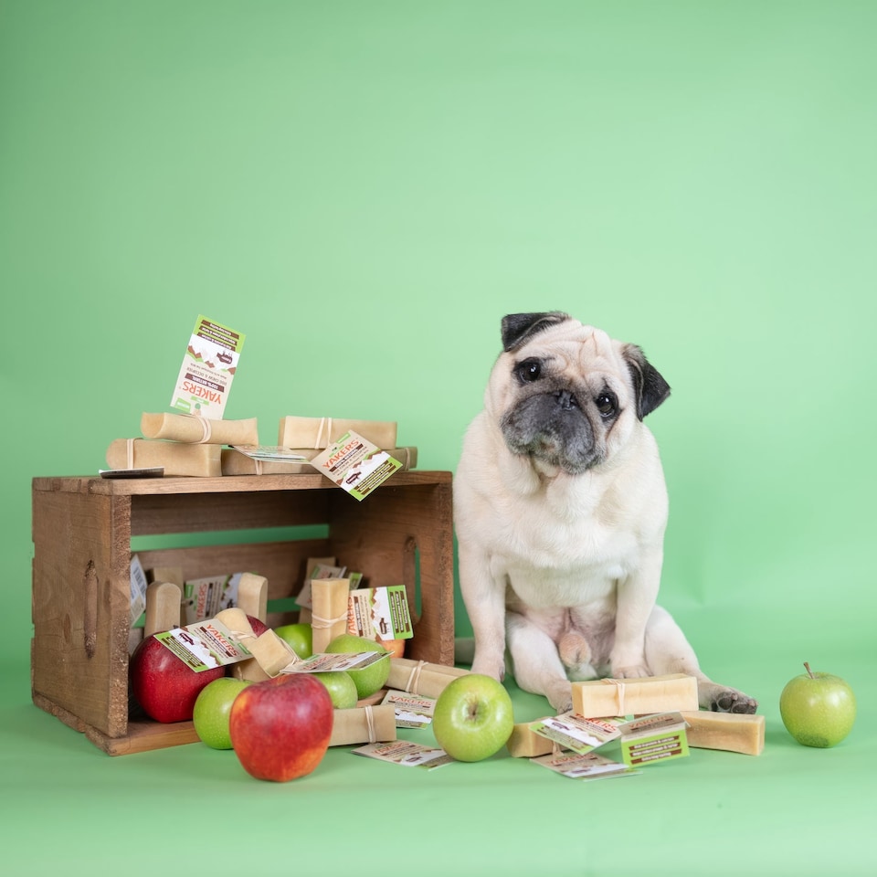 image 1 of YAKERS Apple Natural Himalayan Dog Chews - Pack of 2 (Medium)