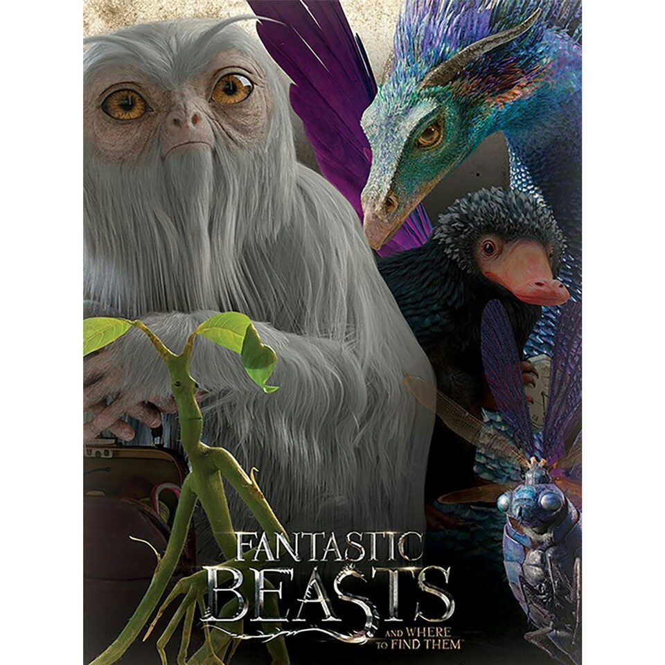 Fantastic Beasts (Fantastic Beasts) 60x80x4cm Stretched Canvas Print