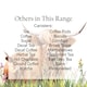 image 3 of Highland Cow & Calf Large Matcha Canister