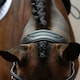 image 4 of Collegiate Comfitec Vogue Leather Horse Bridle - Black - Warmblood