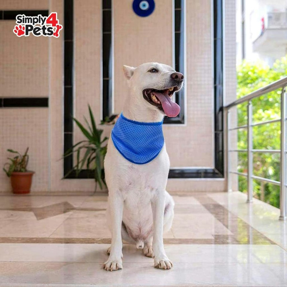 image 1 of Dog Cat Puppy Cooling Bandana Pet Cooler Ice Cool Scarf Collar Relief Med. Large Blue | M