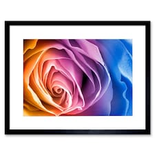 Rainbow Gradient Colour Macro Rose Flower Bloom 9x7" Black Framed Wall Art Print