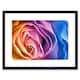 image 1 of Rainbow Gradient Colour Macro Rose Flower Bloom 9x7" Black Framed Wall Art Print