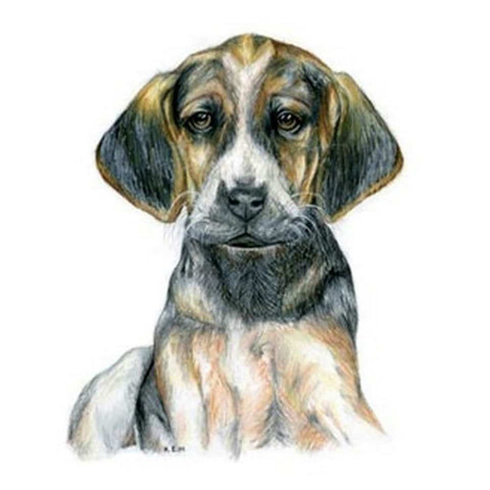Kevin Milner Hound Puppy Art Countryside Greetings Card - Multicoloured - One Size