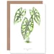 image 1 of Botanical Gardner Leaf Caladium Argyrites Greetings Card