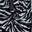 White Zebra