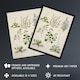image 2 of Native New Zealand Wildflowers Artwork Featon Wall Art Poster Print 12X16"