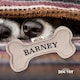 image 2 of History & Heraldry Pre-Personalised Squeaky Bone Dog Toy - Barney