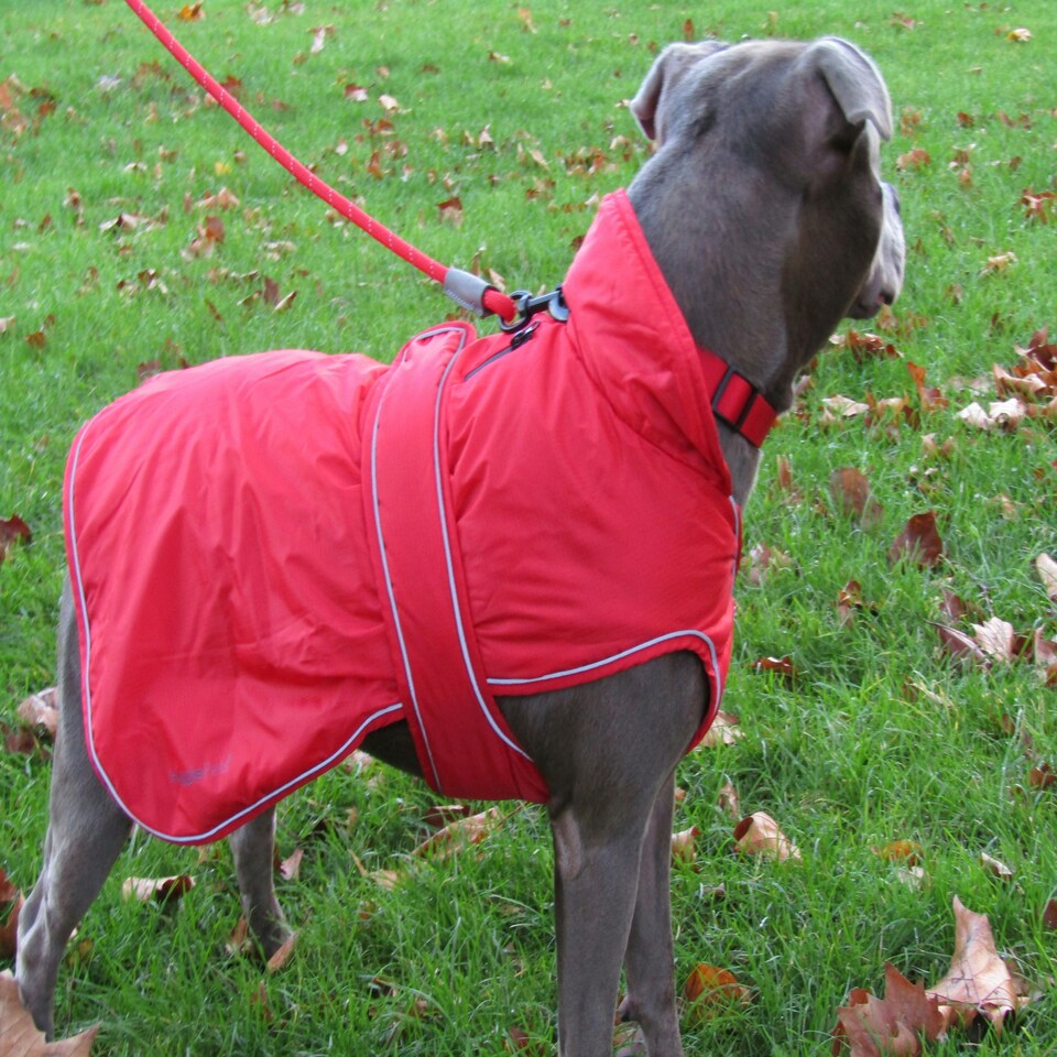 image 1 of HugglePets Arctic Armour Dog Coat Red | M