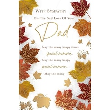 Words 'n' Wishes Loss of Dad Sympathy Card - with Sympathy On The Sad Loss of Your Dad