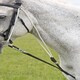 image 2 of Shires Performance Supafleece Seat Saver Black | Size: Large
Colour: Black