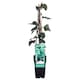 image 2 of Hedera algeriensis Gloire de Marengo - Evergreen Ivy Climber Ground Cover Low Maintenance Wildlife Friendly 2x15cm Pots