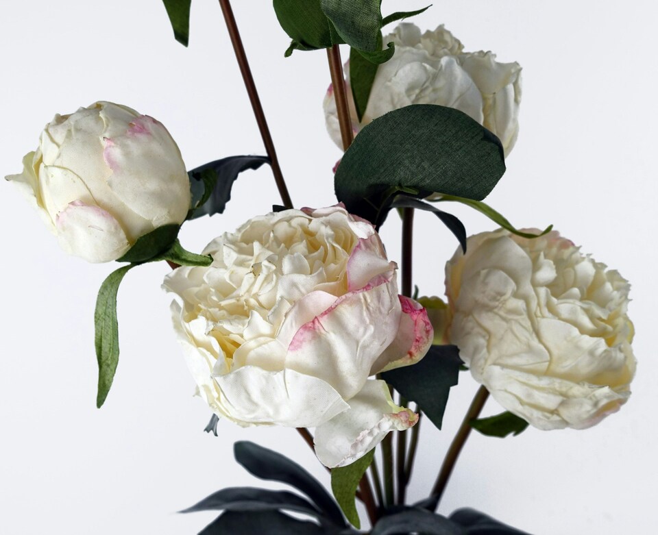 image 1 of 6 x 55cm Cream Peony Artificial Flower Stems - 24 flowers 18 buds