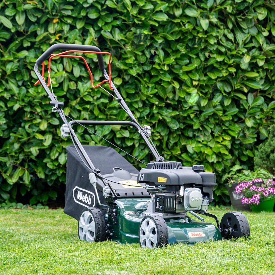 image 1 of Webb Classic 41cm Self‑Propelled Petrol Rotary Lawnmower