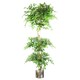 image 1 of 180cm Artificial Twisted Trunk Fruticosa Ficus Tree Triple Ball Topiary 1984 Leaves Silver Metal Planter
