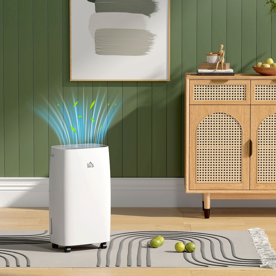 image 1 of HOMCOM 12LDay Dehumidifier with Continuous Drainage, 2.5L Water Tank, 24H Timer, Humidity Display, for Home Damp, Condensation, Mould and Laundry Drying, White