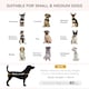 image 3 of PawHut Elevated Dog Sofa Bed with Cushion for Medium and Small Dogs, Grey