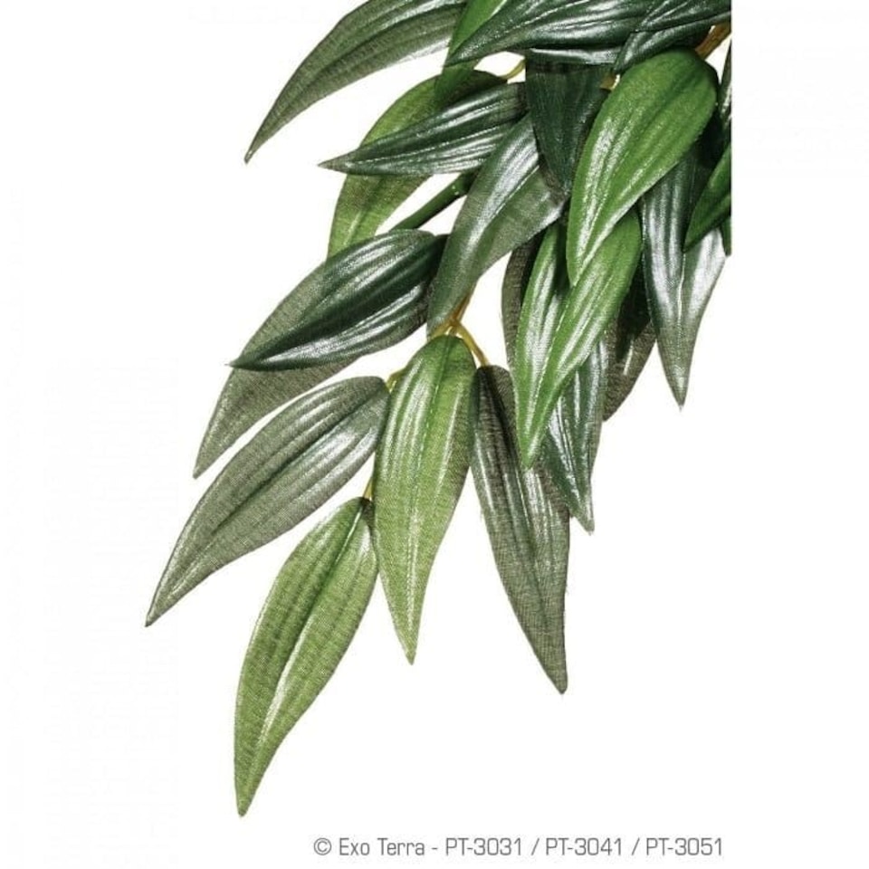 Exo Terra Silk Rucus Plant - Small