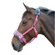 image 2 of Shires Fleece Lined Plush Horse Lunge Cavesson - Pink - X Full